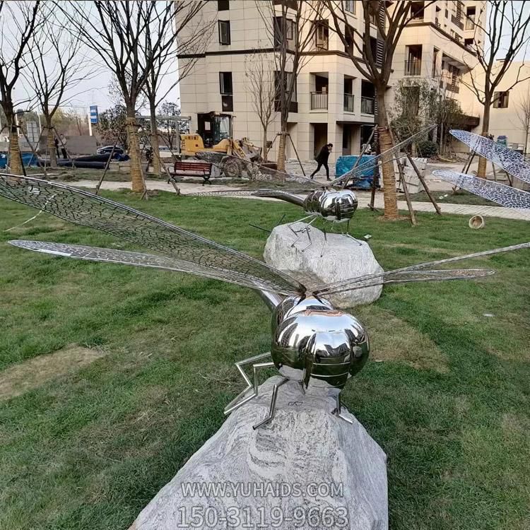 不銹鋼蜻蜓，身體是鏡面效果，翅膀由鐵藝網格構成雕塑