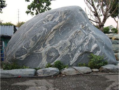 庭院園林自然風景石